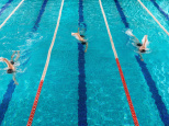 Le village des Championnats d'Europe de natation 2026 : la fan zone à Saint-Denis