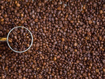 Le prix du café risque d'augmenter à la rentrée