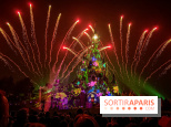 30 ans Disneyland Paris : Disney Illumination Feu d'artifice