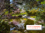 Les jardins du Musée Albert Kahn, nos photos