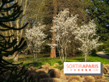 Arboretum de la Vallée-aux-Loups, une balade au milieu des arbres remarquables