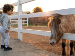 Des balades à dos de poney dans la Vallée de Chevreuse, à la ferme du Vieux Moulin (91)