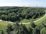 Le parc de la Butte Pinson, le spot verdoyant pour se croire en forêt, à Villetaneuse (93)