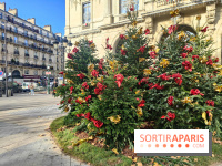 Noël Paris visuels - cadeau - sapin - Marché de Noël - cadeau de Noël - décoration - Mairie 11e