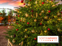 Visuels Noël - sapin