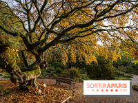Le Jardin Alpin caché du Jardin des Plantes