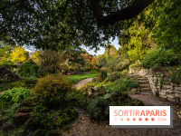 Le Jardin Alpin caché du Jardin des Plantes