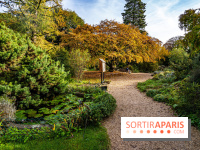 Le Jardin Alpin caché du Jardin des Plantes