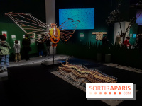 Musicanimale, l'exposition à la Philharmonie