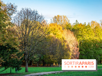 Abbaye de Maubuisson visuels