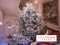 Les cours de cuisine et masterclass spécial Noël à l'école Ritz Escoffier - sapin de Noël