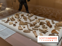 Picasso et la Préhistoire, les photos de l'exposition au Musée de l'Homme - ossements