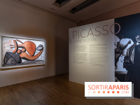 Picasso et la Préhistoire, les photos de l'exposition au Musée de l'Homme