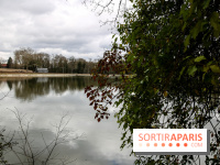 Le Hangar Y à Meudon, nos photos - IMG 8876