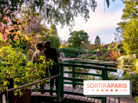 Saint-Valentin visuel saint Valentin - couple