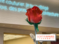 Saint-Valentin visuel saint Valentin 