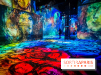 Chagall, Paris-New York, l'exposition immersive inédite de l'Atelier des Lumières - photos - IMG20230216101013