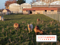 Fermes de Gally - Saint Denis - 121E8A17 ECDB 4F1B 90A8 CF8CA8E2C832