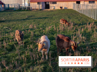 Fermes de Gally - Saint Denis - ED9AAD72 02C7 4C56 B502 2B079F42EDDF