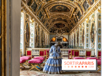 Château de Fontainebleau - Napoléon III et Eugénie -  A7C3938 HDR