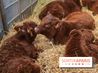 Salon de l'agriculture 2023