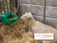 Salon de l'agriculture 2023