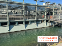 Annette K. - IMG 0487