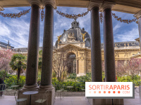 Petit Palais - Collection permanente  -  jardin - restaurant - terrasse