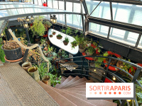 L'eau et les rêves, la péniche-librairie botanique sur le Canal de l’Ourcq - IMG 0837