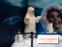 Aquarium Sea Life