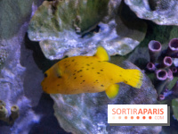 Aquarium Sea Life