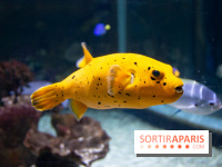 Aquarium Sea Life