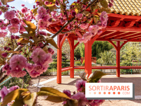 Square Médéric Colombes - jardin japonais 92 -  A7C9962