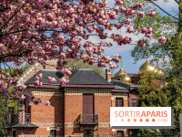 Parc de Bécon à Courbevoie - Pavillon des Indes - Cerisiers en fleurs -  A7C0006