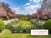 Parc de Bécon à Courbevoie - Pavillon des Indes - Cerisiers en fleurs