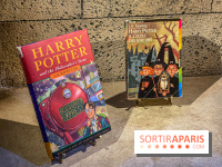 Harry Potter l'exposition livres