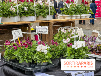 Esprit Jardin à Versailles - Marché aux plantes et animations