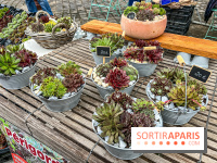 Esprit Jardin à Versailles - Marché aux plantes et animations