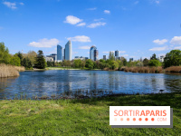 Parc André Malraux à Nanterre, nos photos - IMG 9745