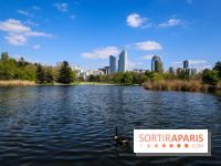 Parc André Malraux à Nanterre, nos photos - IMG 9748