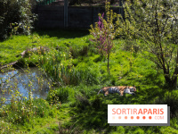 Zoo de Thoiry 2023 - Tigre