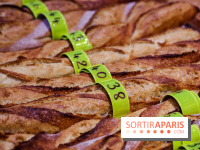 Concours de la meilleure baguette de Paris 2023 - Visuel baguette pain