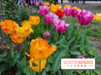 Wat Thammapatip Inrernational : la pagode bouddhiste et sa street food thaï, à Moissy-Cramayel - 50F5D52D D5E6 4A7B 9504 9907D05269BF