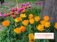 Wat Thammapatip Inrernational : la pagode bouddhiste et sa street food thaï, à Moissy-Cramayel - 99FD4B48 6186 4387 98E1 8653B6C21110