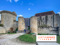 Le Château de la Madeleine à Chevreuse  - IMG 8924
