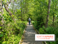 Sentier découverte de Maincourt - Vallée de Chevreuse -  A7C4083