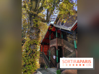 Eglise Saint-Serge de Radonège - received 955956065700347