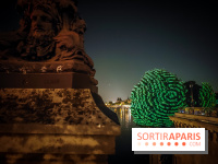 Nuit Blanche 2023 : des projections lumineuses magiques au Square du Vert Galant de l'Île de la Cité - IMG20230603001252