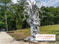 Perchoir Y, restaurant par Guillaume Sanchez et guinguette en forêt