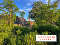 Nocturnes au Parc Zoologique de Paris - IMG 3513